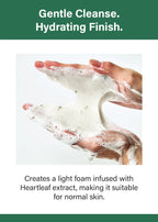 Anua Heartleaf Quercetinol Cleansing Foam (150ml)