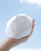 Shiseido Senka Perfect Whip Foam 120g