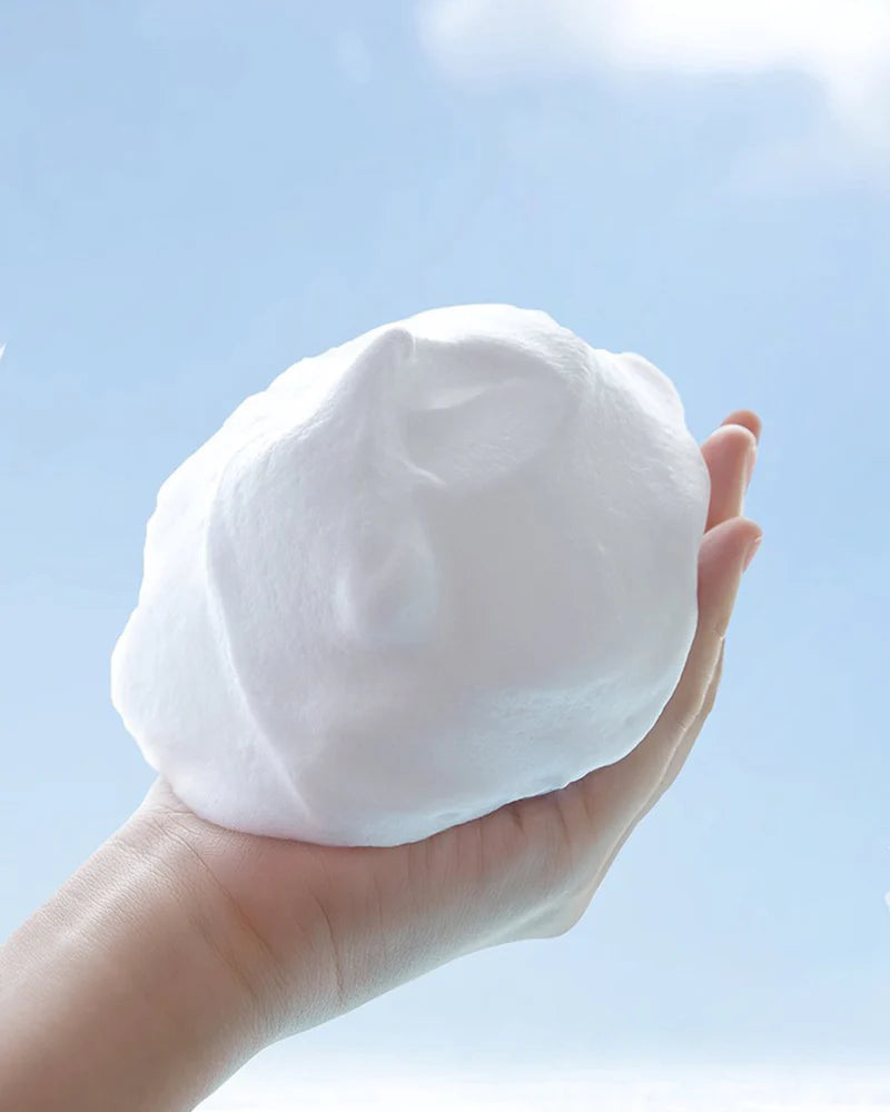 Shiseido Senka Perfect Whip Washing Foam (120g)
